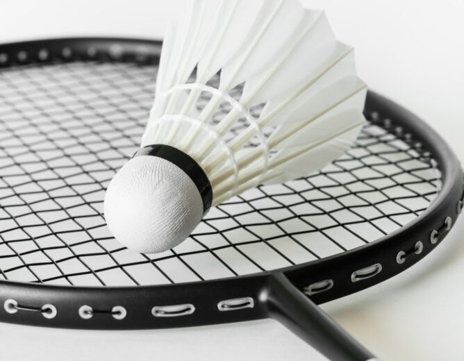 Go Coach BADMINTON CLASS